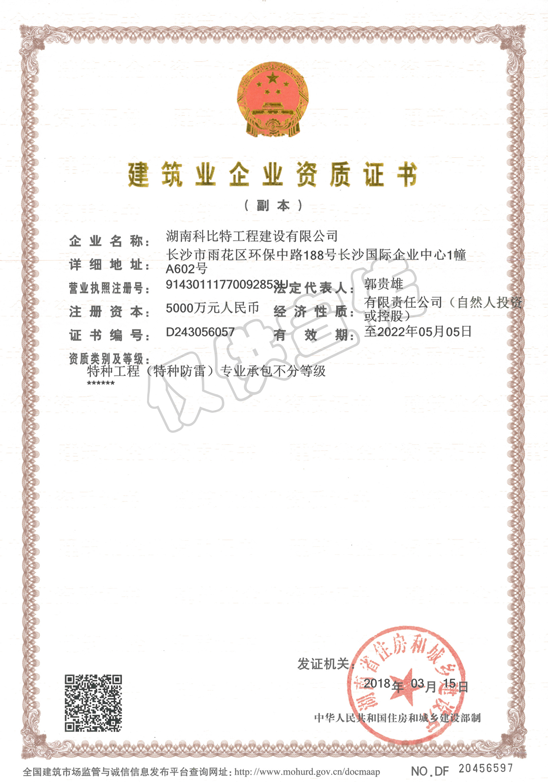 特種工程(特種防雷)專業(yè)承包不分等級(jí)資質(zhì) 特種工程(特種防雷)專業(yè)承包不分等級(jí)資質(zhì)